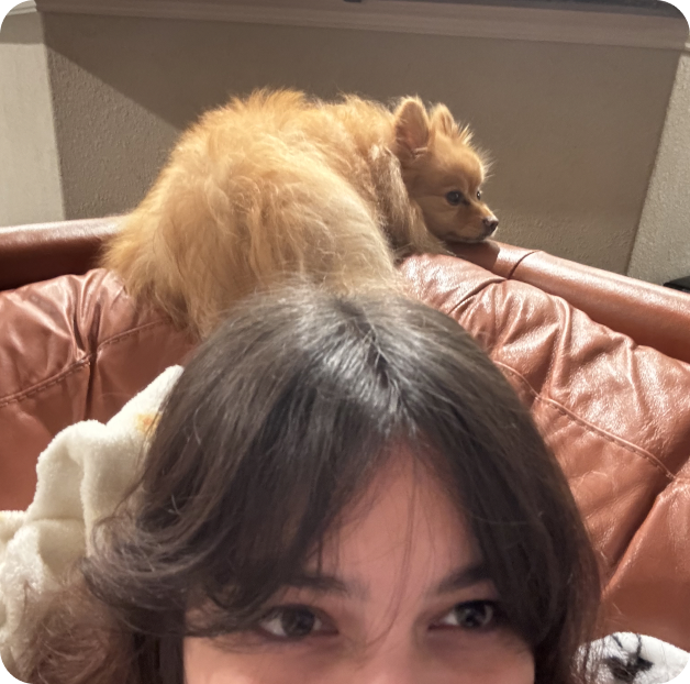 Kiki, a fluffy Pomeranian, lying on a couch behind Isa